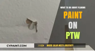 Fixing Flaking Paint on Your PTW: A Step-by-Step Guide