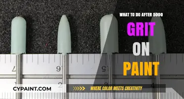 Perfecting Paint Finish: Post-5000 Grit Polishing Techniques and Tips
