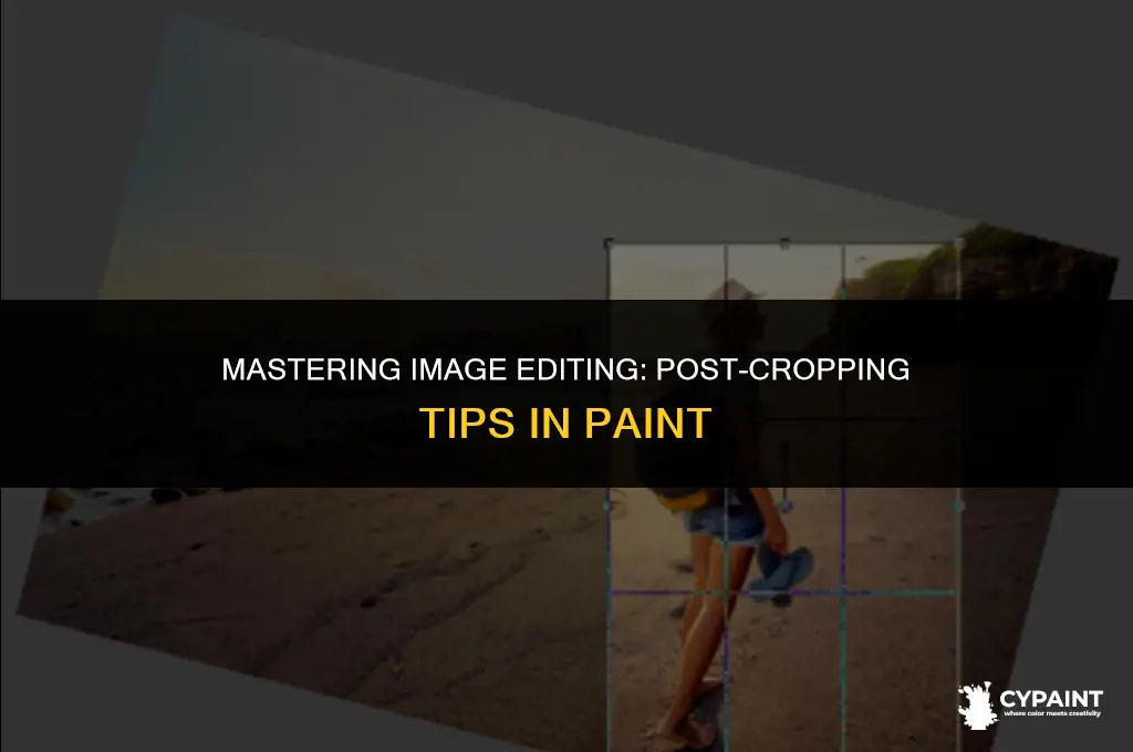what to do after you crop an image in paint