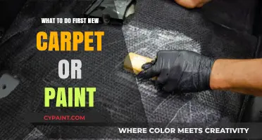 Carpet or Paint First? Essential Tips for Your Home Makeover