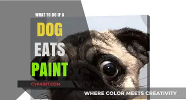 Dog Ate Paint? Quick Steps to Ensure Your Pet's Safety