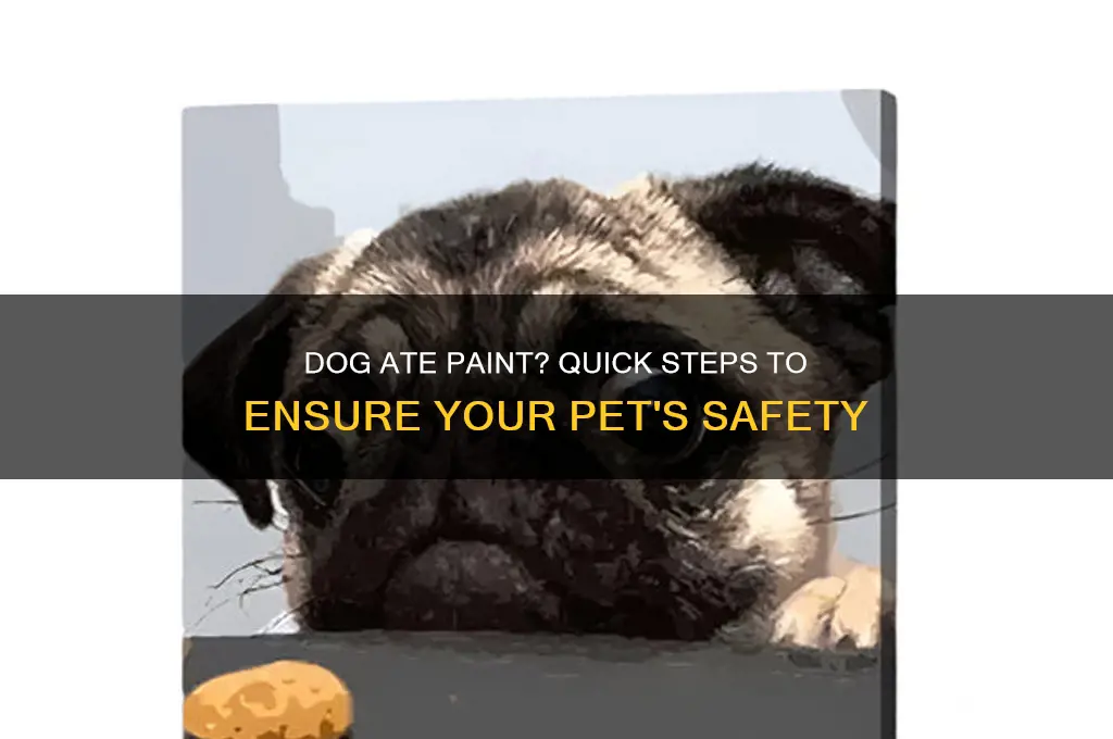 what to do if a dog eats paint