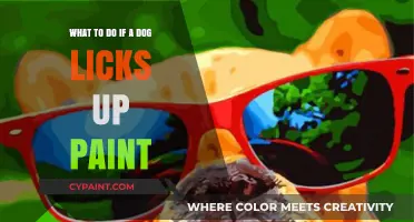 Quick Action Guide: When Your Dog Licks Paint