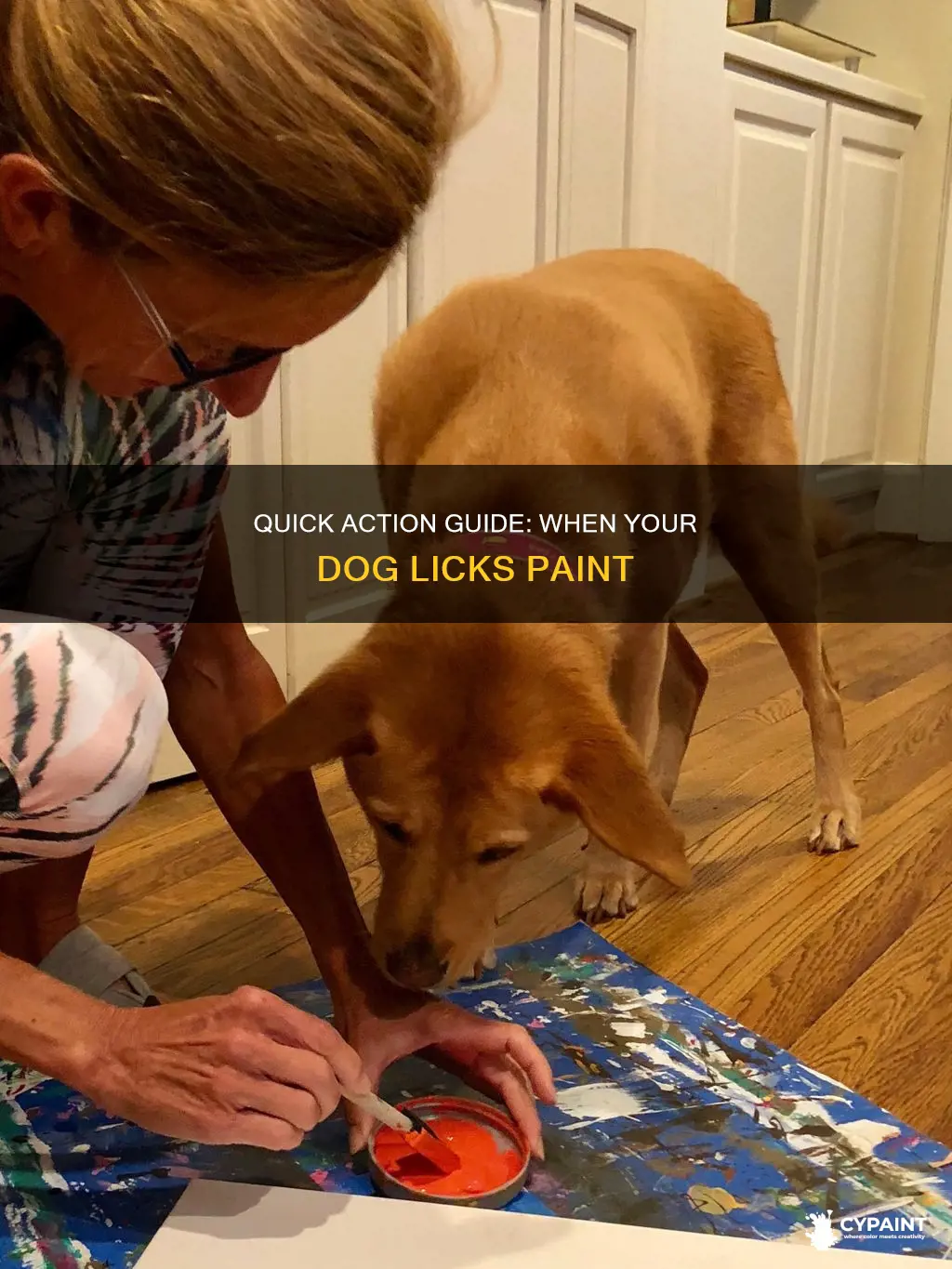 what to do if a dog licks up paint