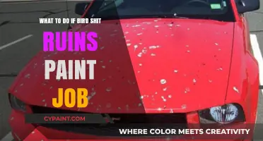 Protecting Your Paint Job from Bird Droppings