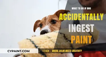 Dog Ate Paint? Quick Steps to Safely Handle Accidental Ingestion