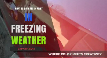 Freezing Weather and Fresh Paint: What to Do?