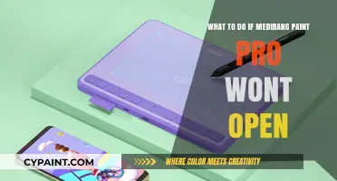 Troubleshooting Guide: Medibang Paint Pro Won't Open