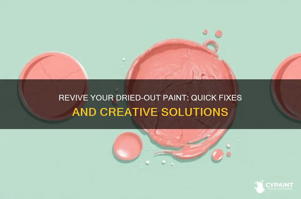 what to do if my paint dried out