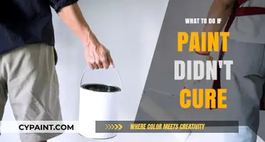 Paint Not Curing? Troubleshooting Tips for a Smooth Finish