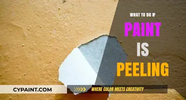Fix Peeling Paint: Effective Solutions to Restore Your Walls