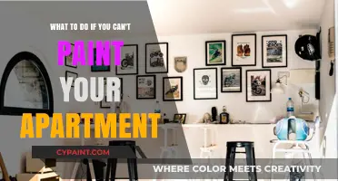 Creative Solutions for Renters: Painting Alternatives for Your Apartment