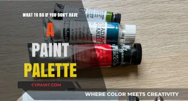 Exploring Alternatives: What to Do Without a Paint Palette