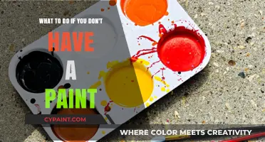 Creative Alternatives: What to Do If You Don't Have Paint