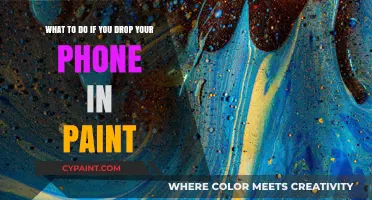 Oops! Phone in Paint? Here's Your Rescue Guide
