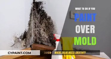 Painting Over Mold? Essential Steps to Fix and Prevent Damage