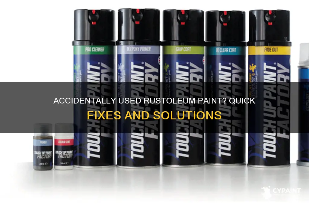 what to do if you say rustoleum paint