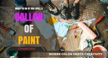 Paint Spill Panic: Quick Steps to Clean Up a Gallon of Mess