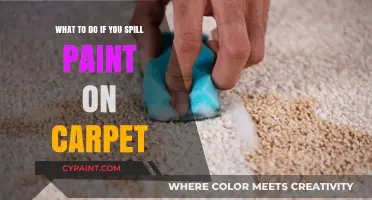 Quick Action Guide: Paint Spill on Carpet