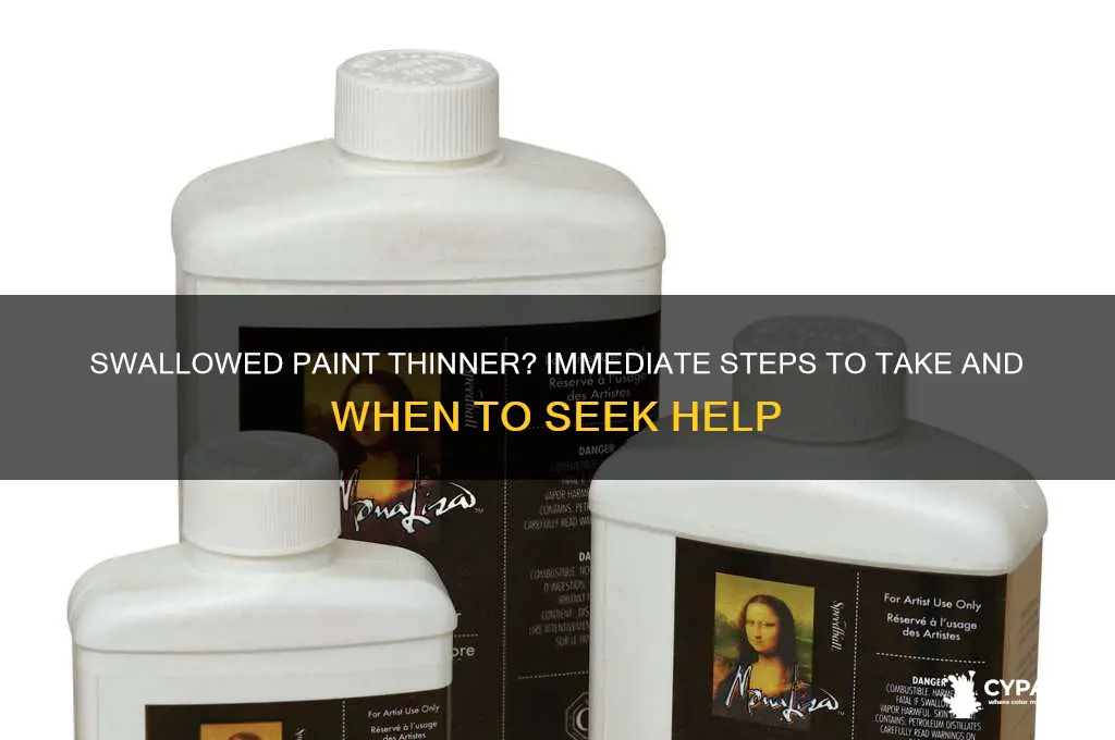 what to do if you swallow paint thinner