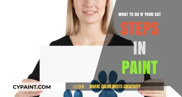 Quick Action Guide: Cat Steps in Paint