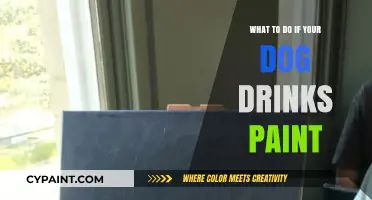 Dog Drank Paint? Quick Steps to Safely Help Your Pet