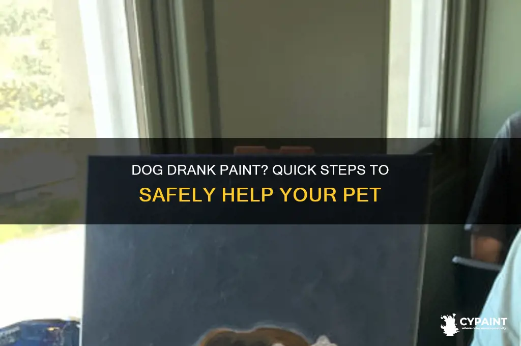 what to do if your dog drinks paint