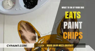 Keep Your Dog Safe: Paint Chips Are Poisonous