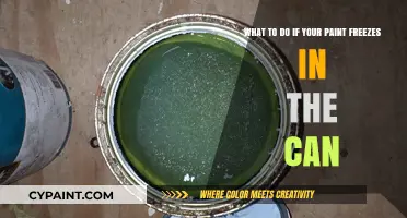 Reviving Frozen Paint: A Step-by-Step Guide for DIY Enthusiasts