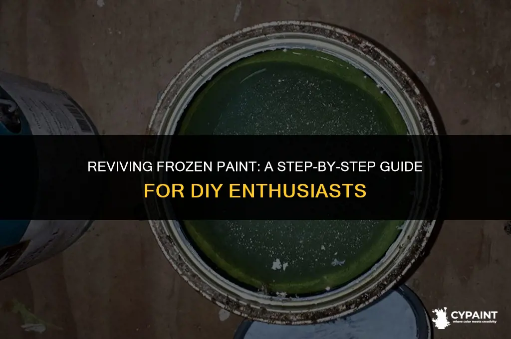 what to do if your paint freezes in the can