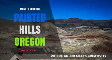 Exploring Oregon's Painted Hills: Top Activities and Must-See Wonders