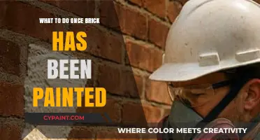 Post-Paint Brick Care: Essential Tips for Maintaining Your Painted Brick