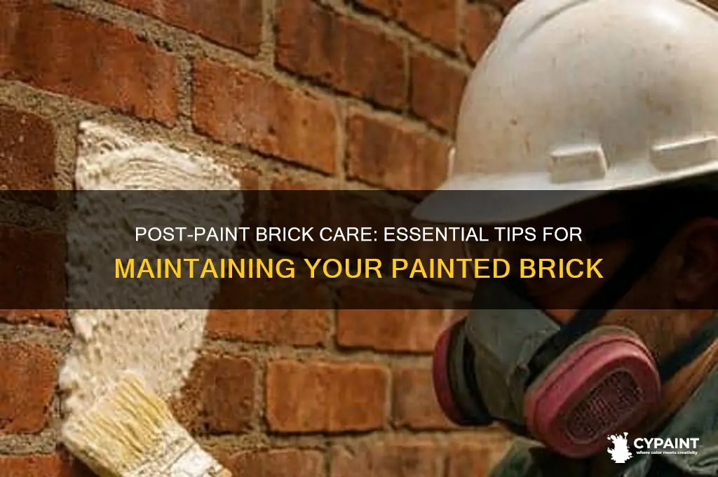 what to do once brick has been painted