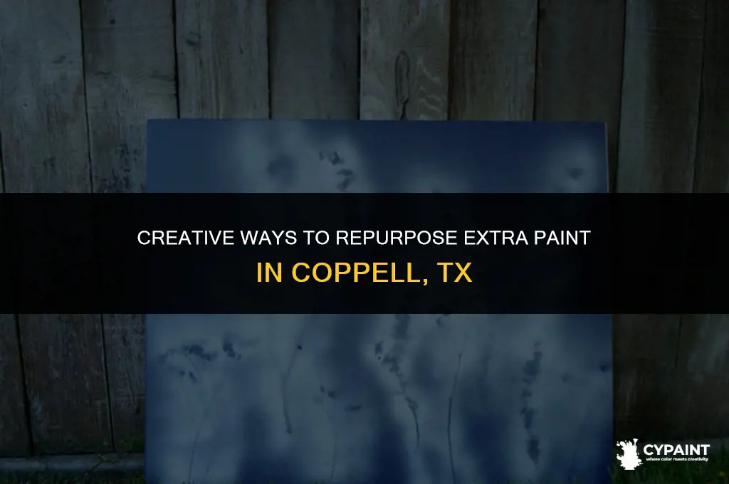 what to do w extra paint in coppell tx 75019
