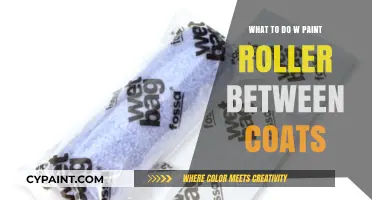 Between Coats: How to Properly Store Your Paint Roller