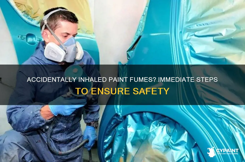 what to do when accidentlu hreathin paint funes