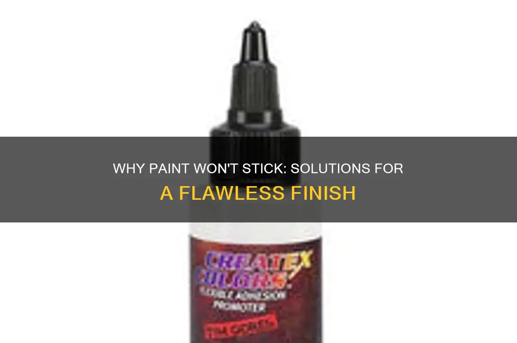 what to do when paint doesn