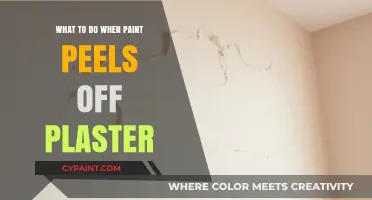 Fixing Peeling Paint on Plaster: Effective Solutions and Prevention Tips