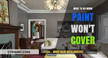 Troubleshooting Paint Coverage: Solutions for Uneven or Inadequate Results