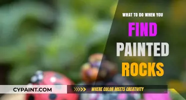 Discovering Painted Rocks: Creative Ways to Engage and Share the Joy
