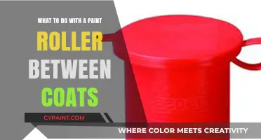 Smart Ways to Handle Paint Rollers Between Coats