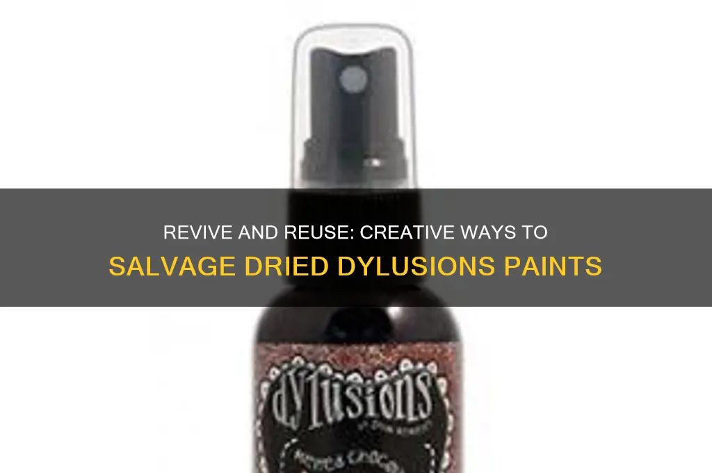 what to do with dried out dylusions paints