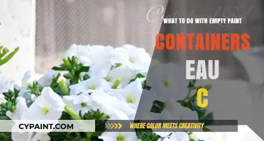 Creative Ways to Reuse Empty Paint Containers