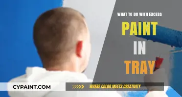 Smart Solutions for Handling Leftover Paint in Your Tray