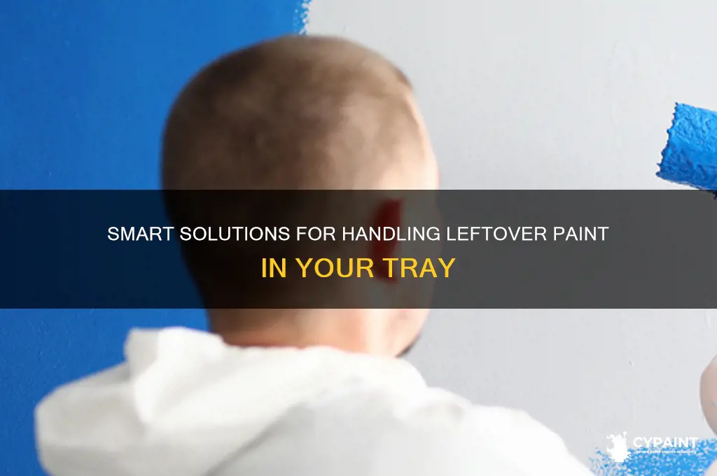 what to do with excess paint in tray