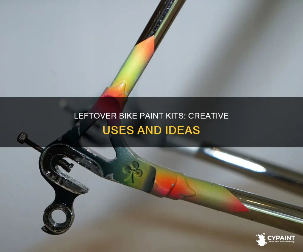 what to do with extra bike paint kits ldoe