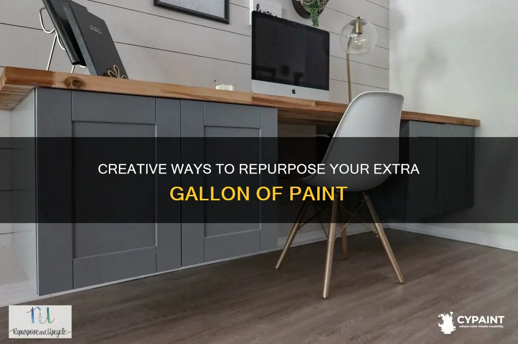 what to do with extra gallon of paint