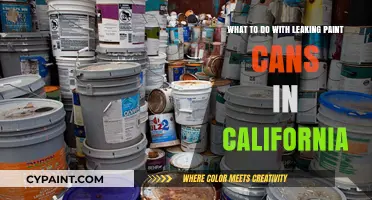 Proper Disposal of Leaking Paint Cans in California