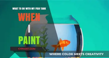 Revamping Your Space: Fish Tank Care During Painting Projects