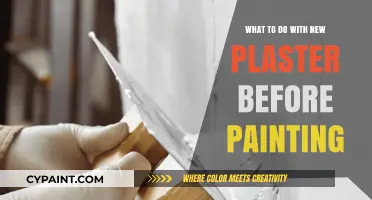 Prepping New Plaster: Essential Steps Before Painting Your Walls